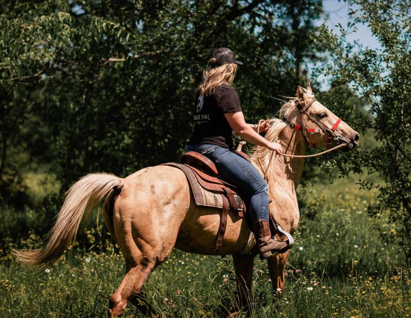 female ranch hand riding a horse through tall grass at J and H Ranch